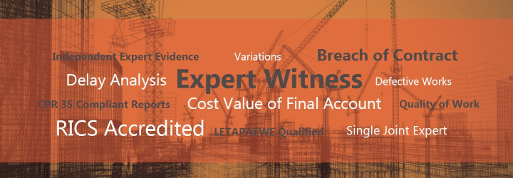Expert witness services